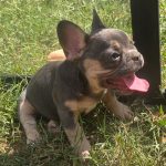 Otis - Image 13