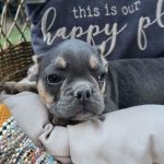 Otis - Image 11